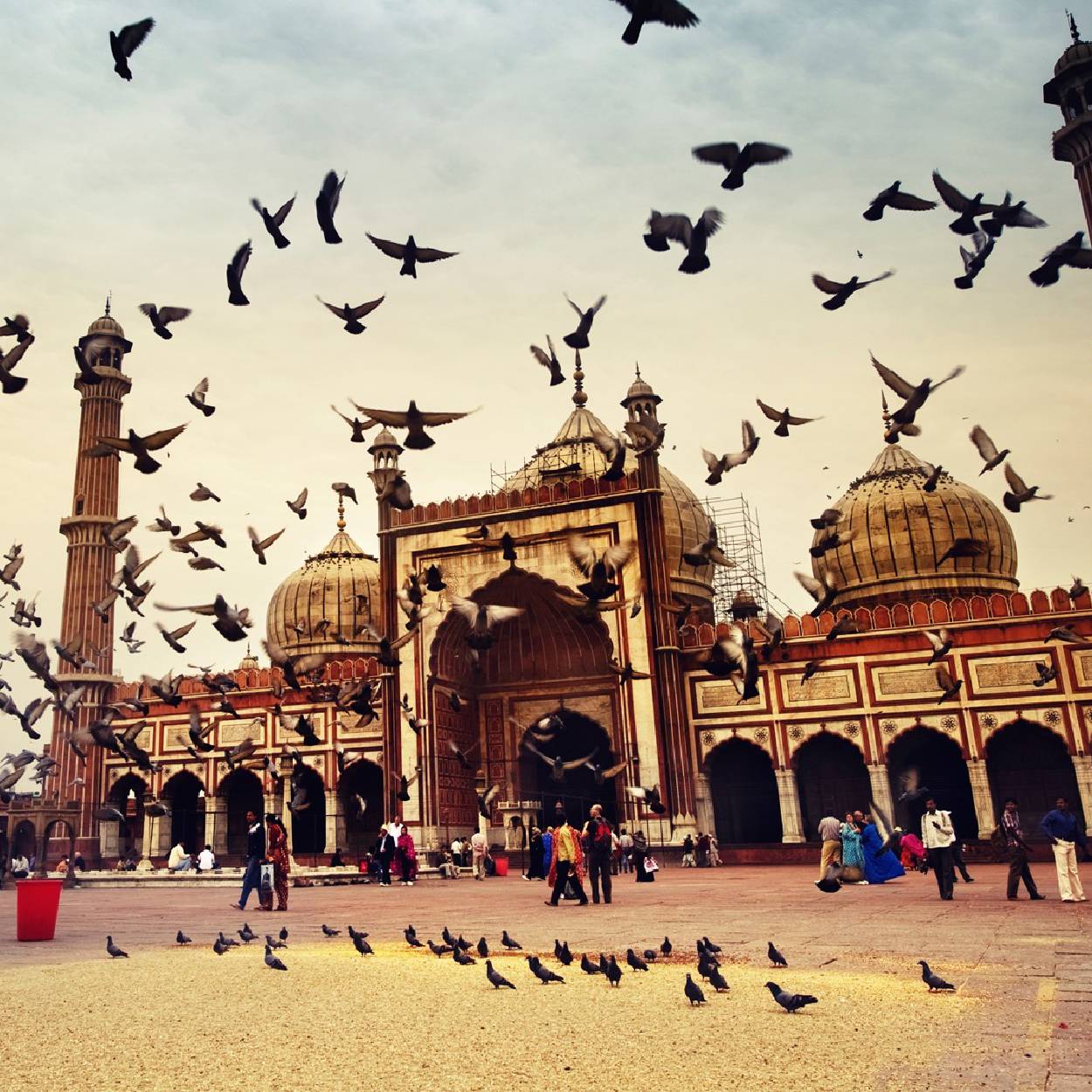 Jama-Masjid-Old-Delhi-City-Tours