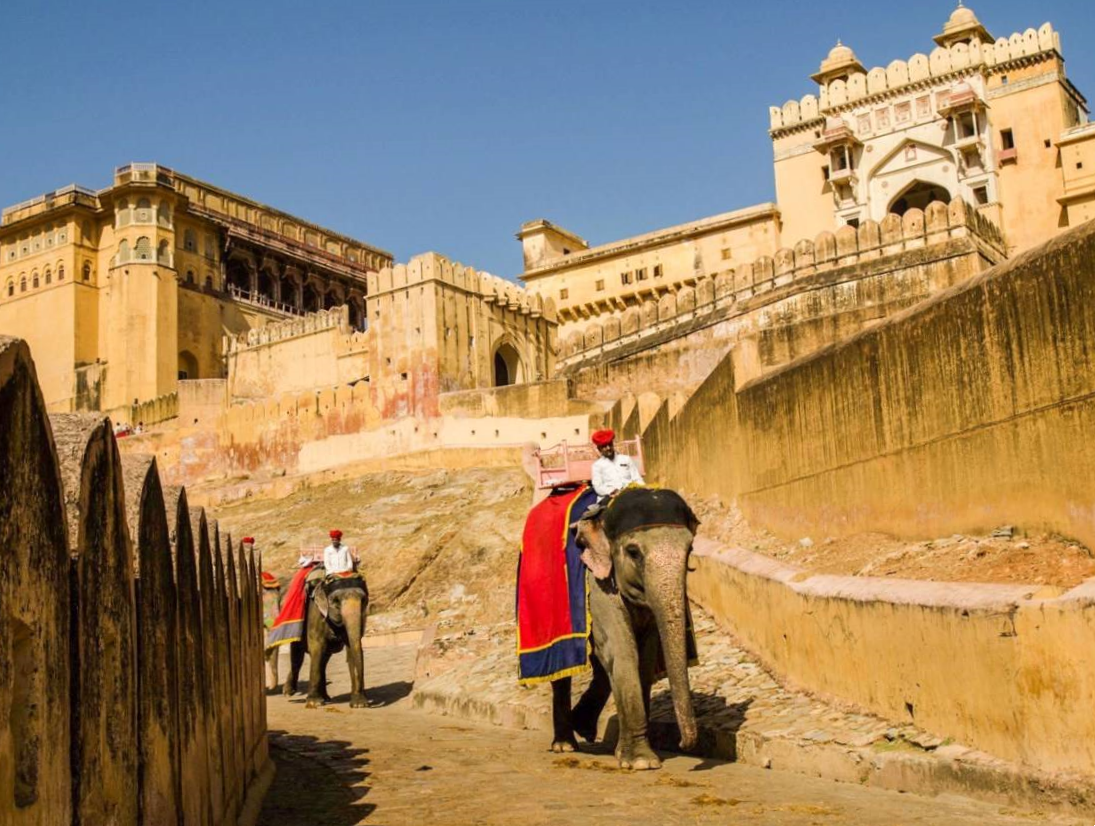 Jaipur Elephant